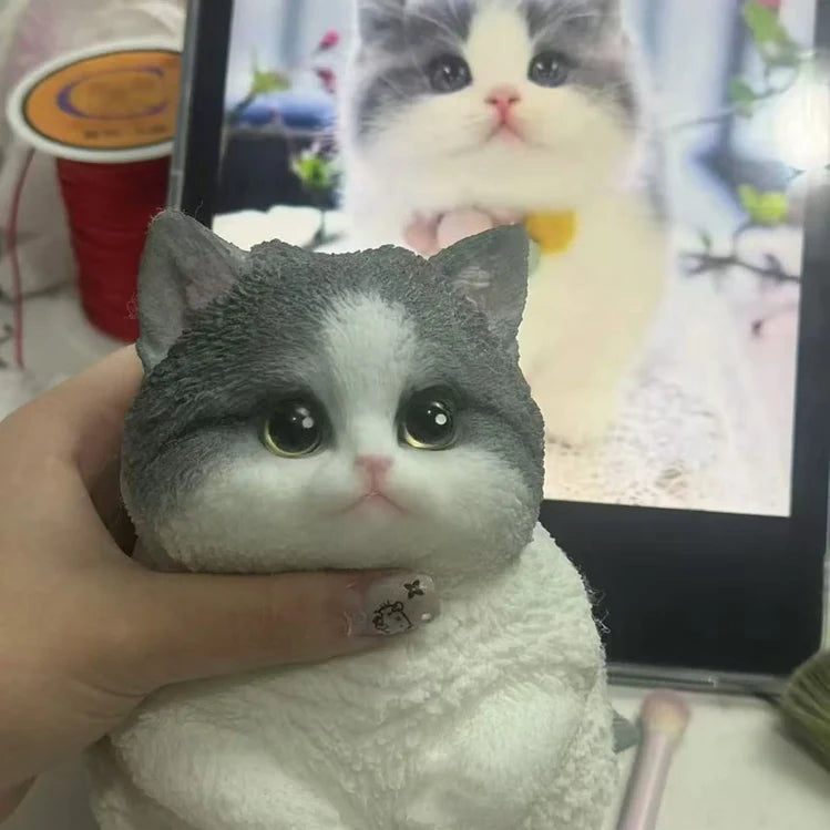 Stress Relief - DIY Chubby Cat Set