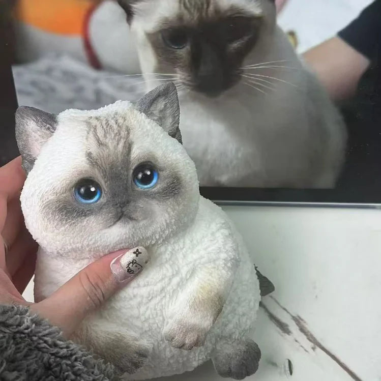 Stress Relief - DIY Chubby Cat Set
